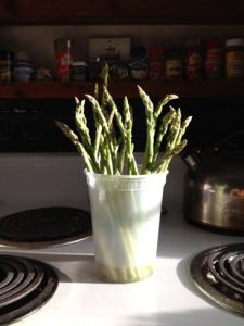 asparagus2