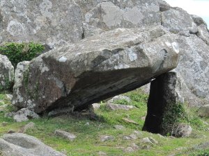 14051318carn_llidi (1)