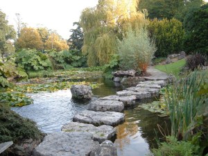 Stepping stones across the water