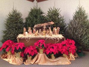 Mercy nativity1