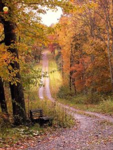 f6f31b907f77ed242c064fa922ceef12