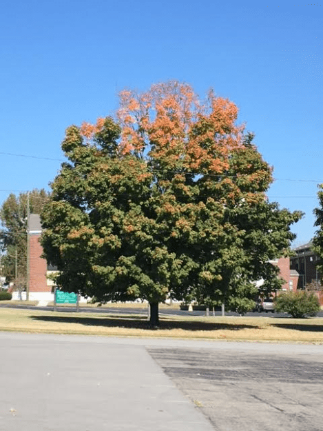 12-pm-saturday-102916