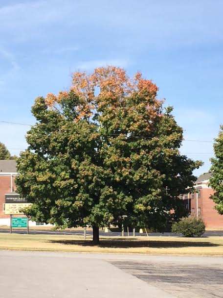 2pm-wednesday-102616