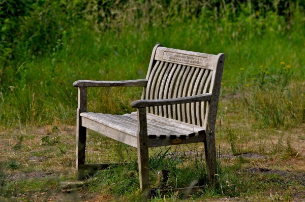 Lackford Lakes June 2010