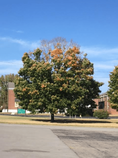 j-2pm-tuesday-110116