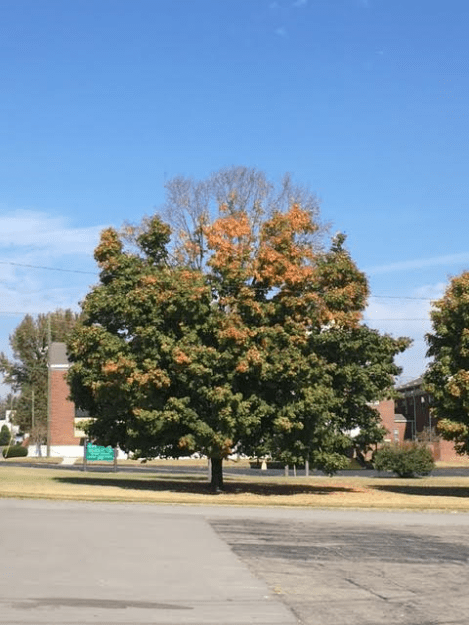 k-12pm-wednesday-110216