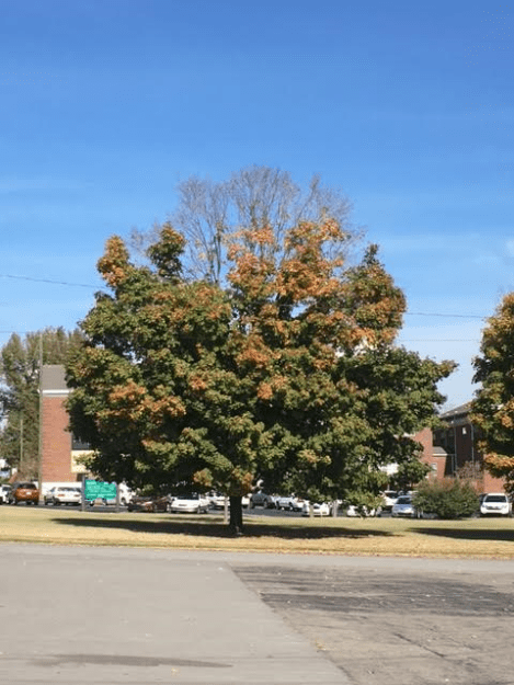 l-12pm-saturday-110516