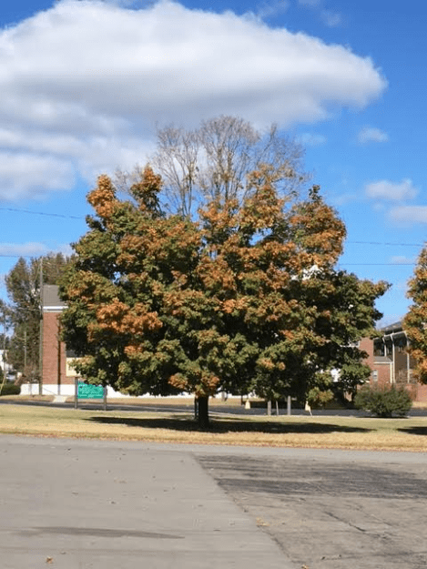 m2-12pm-wednesday-110916