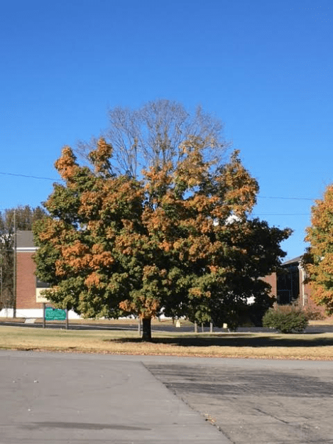 m3-2-pm-thursday-111016