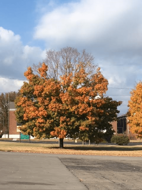 m4-2pm-tuesday-111516