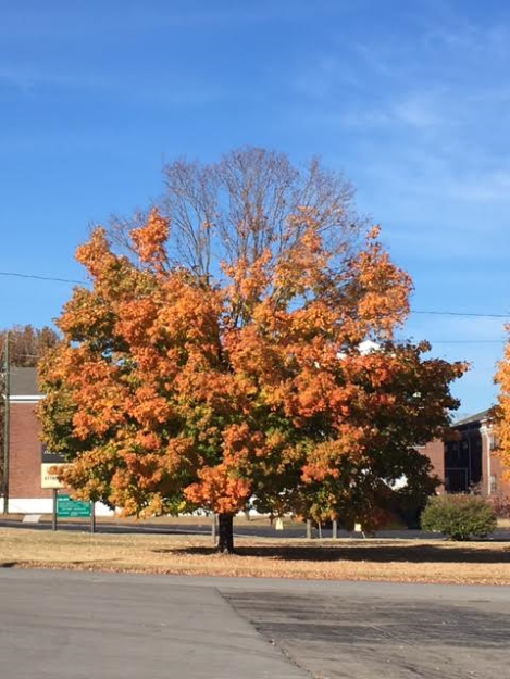 m6-2pm-thursday-111716