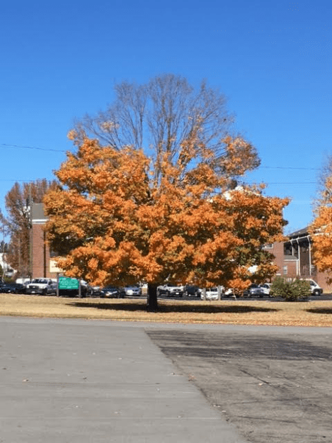 m7-12-saturday-111916