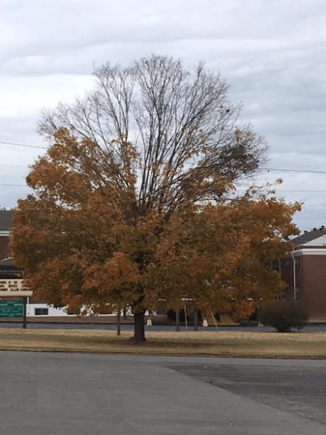 m9-12pm-wednesday-112316