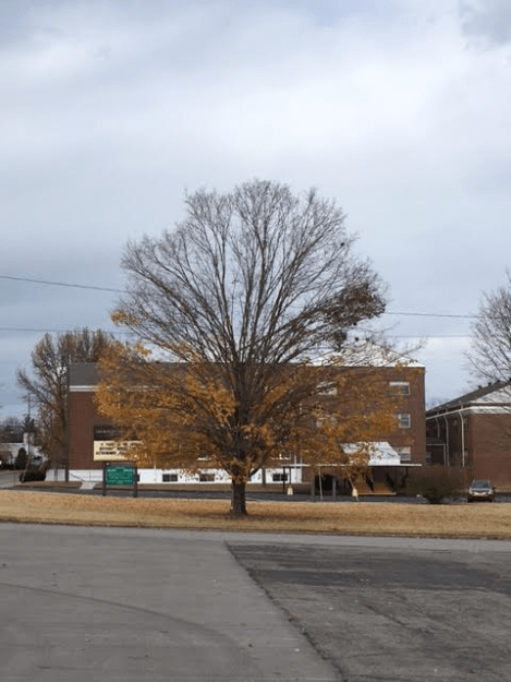 n2-2pm-tuesday-112916