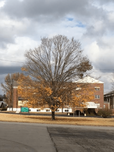 n3-12pm-wednesday-113016