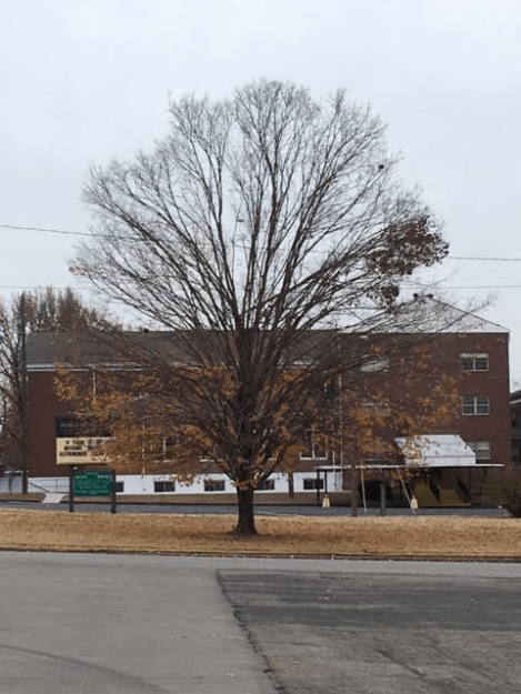 n5-12pm-saturday-120316