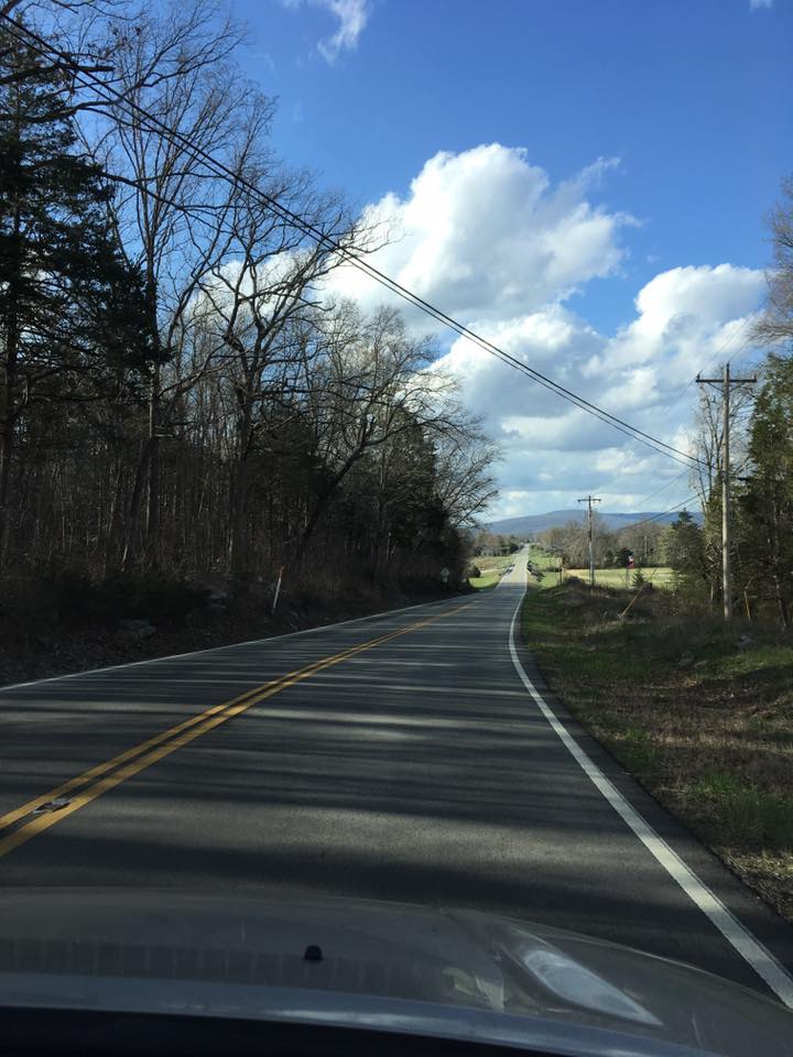 17426122_10209810296272497_4252687372558027949_n