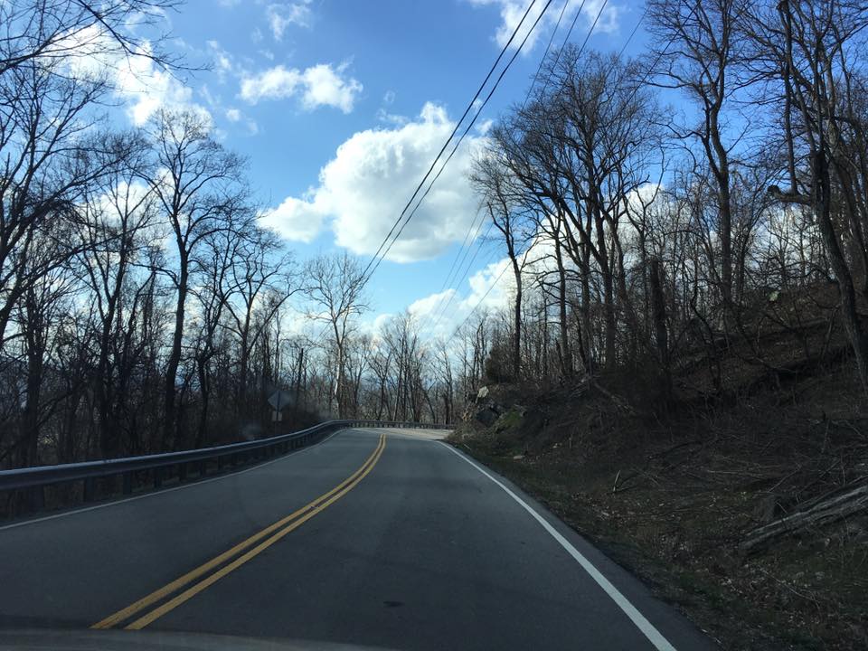 17499035_10209810297352524_977078950823763385_n