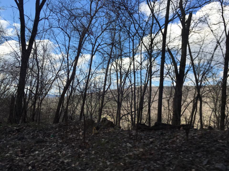 17522835_10209810296752509_8746089567817351063_n