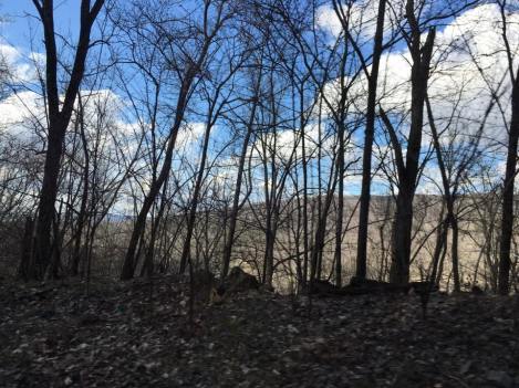 17522835_10209810296752509_8746089567817351063_n