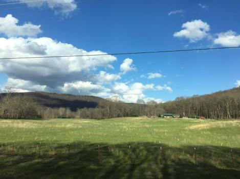 17554186_10209810296032491_1304691799332560373_n