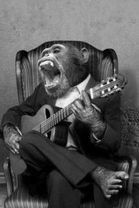 music for monkeys