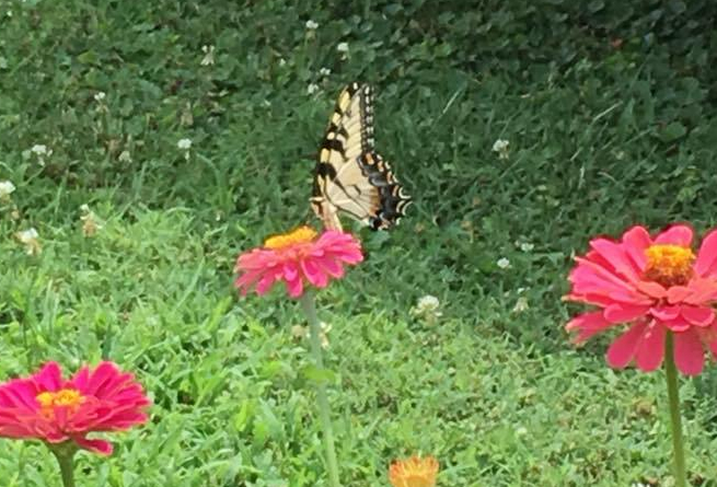 36744858_10213585844538844_8811349377403584512_n